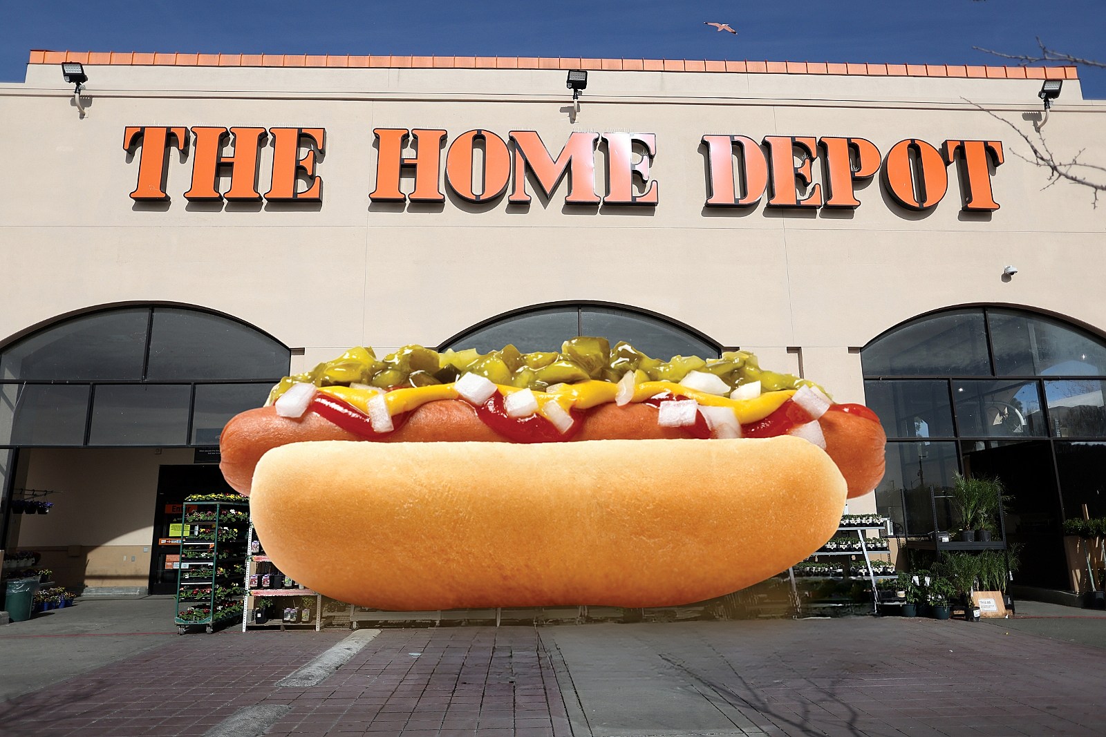 Marty’s Home of the Hot Dog