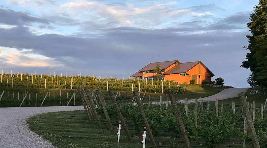 Blustone Vineyard