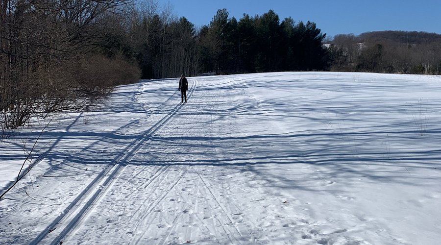 Hickory Hills Ski Area